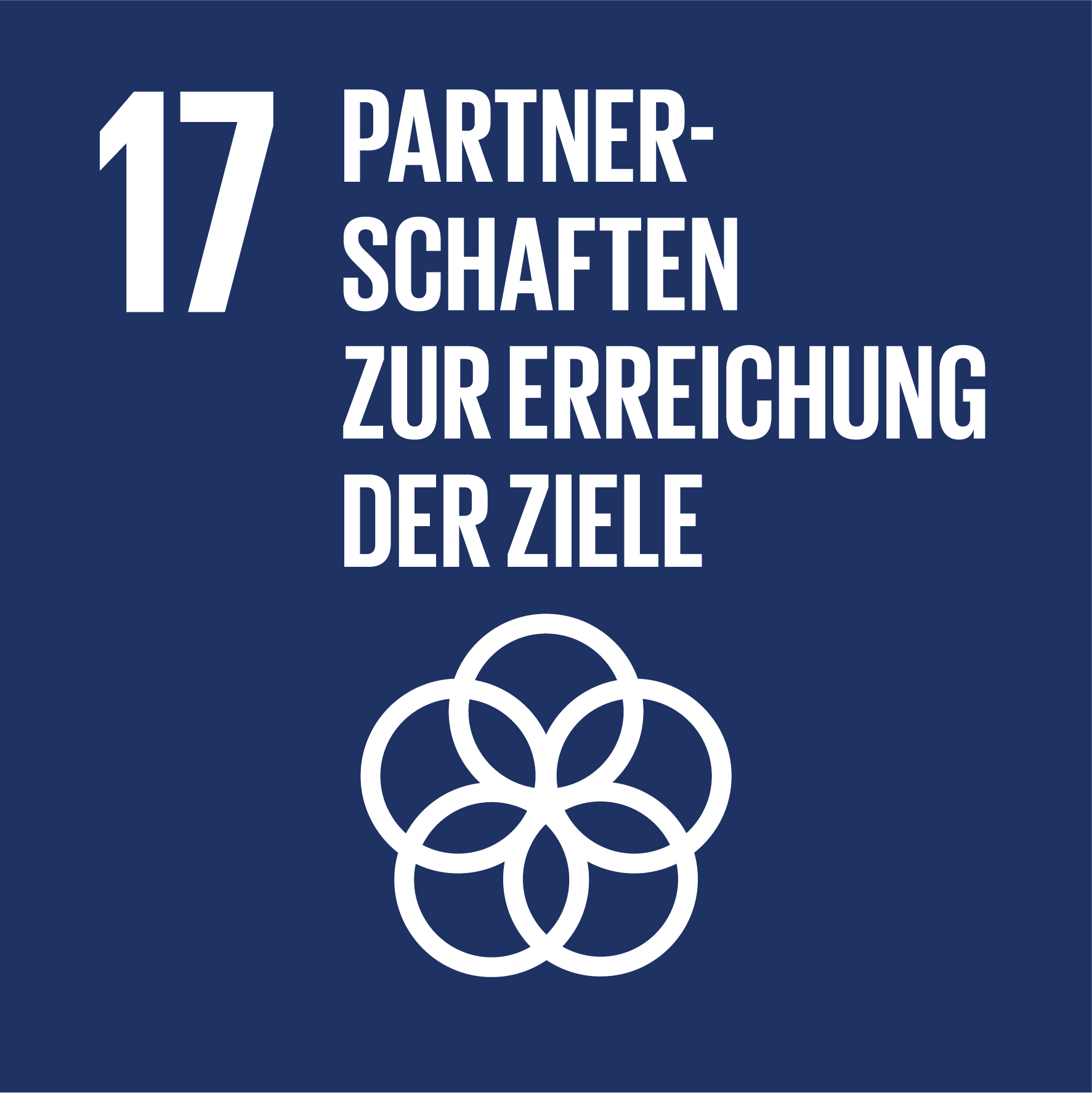 SDG 17 Icon – Partnerschaften zur Erreichung der Ziele
